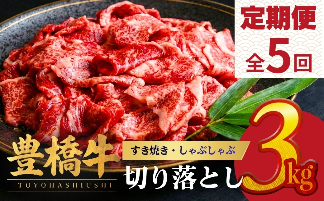 
            【5回定期便】豊橋牛 切り落とし 3kg | 牛肉 肉  国産牛 肉 焼肉 すき焼き 定期便 しゃぶしゃぶ すきやき お楽しみ 人気 冷凍  豊橋市  
          