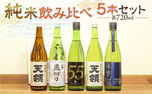 【年内発送】【天領酒造】「純米 飲みくらべ」Dセット 5本（各 720ml）純米酒 特別純米酒 純米吟醸原酒 純米吟醸 純米酒 下呂温泉 お酒 飲み比べ 酒 天領 下呂市 年内配送 年内発送 年内に届く 年内お届け