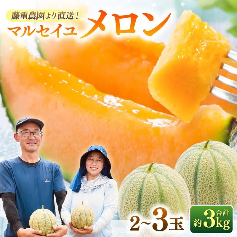 【先行予約】藤重農園自慢のマルセイユメロン 2～3玉（合計約3kg）※2027年6月中旬以降順次発送 [aw083-a005]