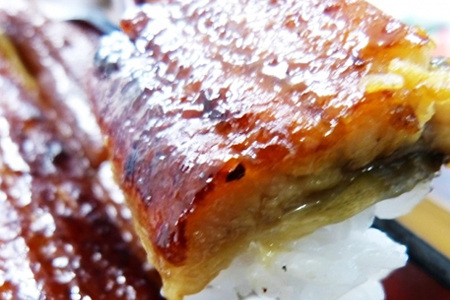 超特大!やわらか 国内産うなぎ蒲焼 220～250g 1尾 肉厚ジューシー 国産ブランド鰻 ふっくら仕上げ 蒲焼きのタレ・山椒付き 湯煎で簡単調理 うな丼 うな重 ギフト 贈答用 冷蔵配送 国産 茨城
