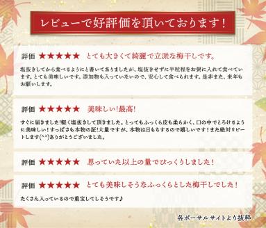 訳あり 完熟 南高梅使用 梅干し 1.25kg×2個 2.5kg 無添加 塩分濃度約20％ / 梅干し 梅干し 梅干し 梅干し 梅干し 梅干し 梅干し 梅干し 梅干し 梅干し 梅干し 梅干し 梅干し 