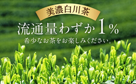 【3回定期便】 白川茶ペットボトル 500ml×24本入 緑茶 お茶 ペットボトル 500ml ケース 白川町 / 白川園本舗[AWAT006]