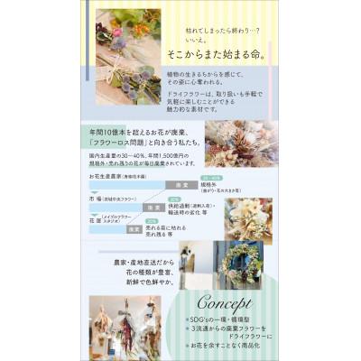 ふるさと納税 ひたちなか市 【12月下旬以降発送開始・先行予約・数量限定】お正月のリース 手作りの正月飾り |  | 02