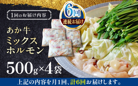 【全6回定期便】熊本和牛あか牛ホルモン 約2kg 【有限会社 三協畜産】[AYCQ073]