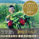 【ふるさと納税】落影農場『恵味（めぐみ） 10本セット』2025年夏出荷分の予約受付開始！ 長野県信濃町名産スイートコーンの人気品種を早期予約限定で受付中！ 令和8月出荷予定 朝採れのとうもろこしを生産者から直送【長野県信濃町ふるさと納税】