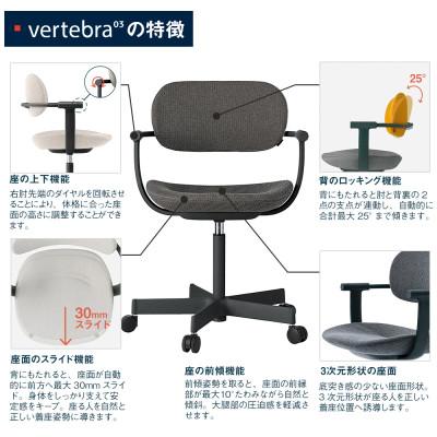 ふるさと納税 近江八幡市 イトーキ『バーテブラ03』5本脚 フレーム:ブラック SD張地:ダークグレーC |  | 03