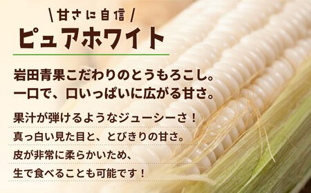 とうもろこし ピュアホワイト 6kg 茨城県産 トウモロコシ 深夜採り 朝出荷
