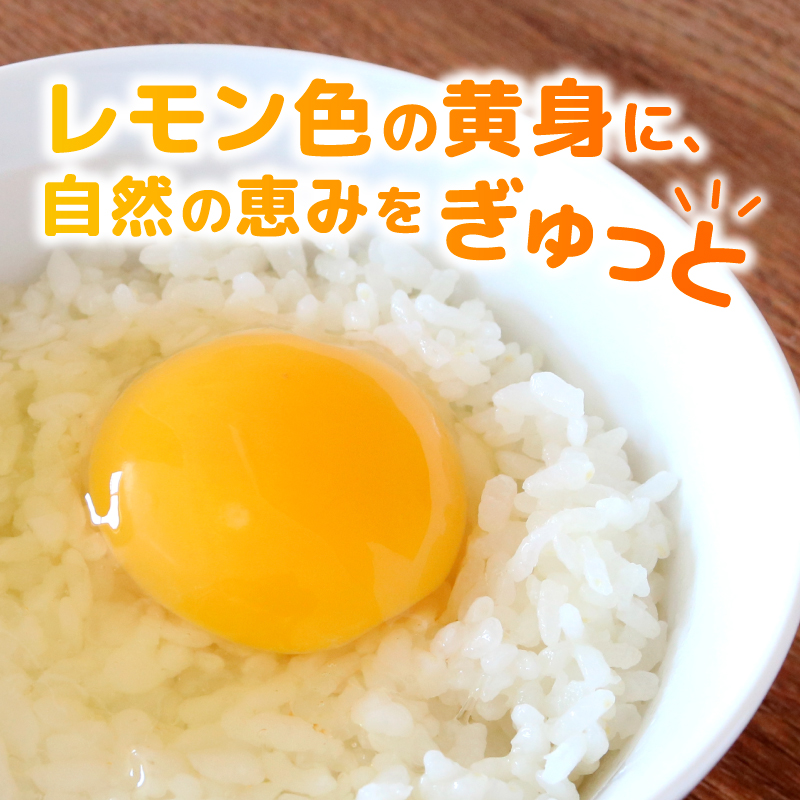 【定期便3回】 平飼い卵 40個入り たまご 卵 タマゴ 鶏卵