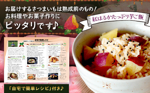 訳あり さつまいも 紅はるか 堀りたて5kg ( 1箱 ) 新物 鹿児島県産 【2025年9月中旬より順次発送】