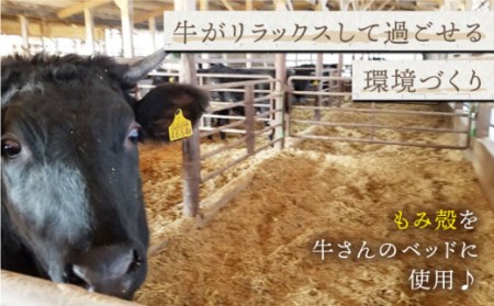 黒毛和牛 ロースステーキ 500g / ステーキ [IAX014]