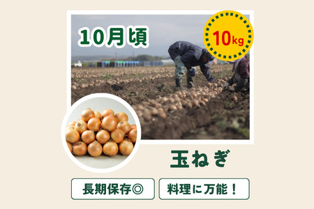 【令和７年産予約受付！】≪令和７年産予約受付！≫～美瑛の四季～ 野菜の定期便【白樺(大)】4回便 | アスパラ とうもろこし 食べ比べ 送料無料 セット 玉ねぎ 人気 おすすめ ランキング いも 芋 