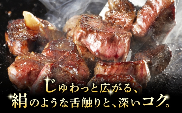 飛騨牛 サイコロステーキ 霜降り 赤身 牛肉 和牛 国産 牛 ブランド牛