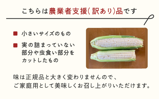 ≪先行予約≫ 農業者支援 ご家庭用 2025年 山形県産 ホワイトコーン 3kg 生で味わう 白とうもろこし トウモロコシ コーン 夏 野菜 やさい ※沖縄・離島への配送不可 F21A-429