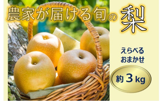 【013-40】信州の梨　品種おまかせ　約３キロ