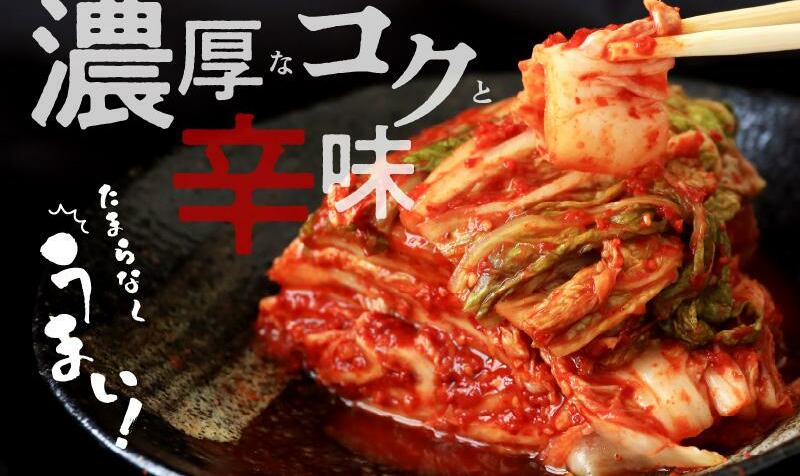 【リピーター続出！】白菜キムチ 1kg【新鮮野菜 高評価 人気 惣菜 きむち 漬物 韓国グルメ おつまみ 家計応援】 099H3026_イメージ2
