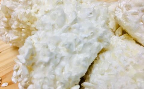 【塩こうじ・甘酒などに】北海道産米のやわらかな生こうじ」500g×5袋