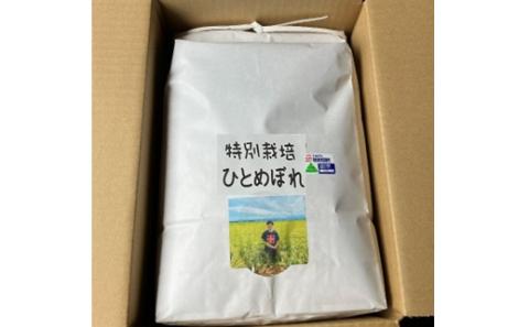 【令和5年産・玄米】ecofarmすがわらの特別栽培米ひとめぼれ30kg