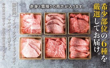 焼肉 6種食べ比べ 希少部位 各100g 計600g 牛肉 肉 部位おまかせ 赤身 霜降り和牛 ギフト 贈り物 飛騨市