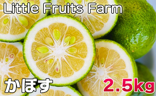 
                  香り抜群!果汁たっぷり!リトルフルーツファームのかぼす 約2.5kg ／ 柑橘類 果物 フルーツ 9月 10月 11月 12月 ＜116-001＞
                