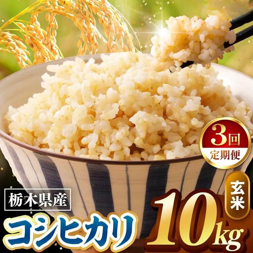 令和8年度産 先行予約 【定期便3回】こしひかり 玄米 約10kg