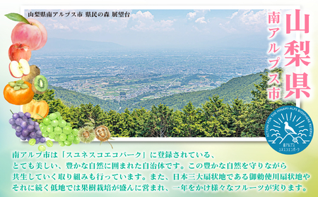 【2026年発送先行予約】山梨県産 シャインマスカット2房(1㎏以上) ALPAI027