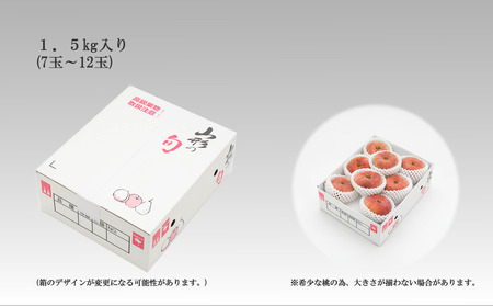 【2026年産 先行予約】もも「蟠桃(ばんとう)」1.5kg 東根農産センター提供 山形県 東根市 hi027-266 （東北 果物 フルーツ くだもの もも 桃 蟠桃 ピーチ 孫悟空 期間限定 冷蔵