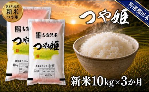 【 令和8年産 】新米 特選棚田米 つや姫 定期便 10kg 3ヶ月 おこめ お米 白米 精米 コメ ライス ごはん ご飯 国産米 棚田米 ブランド米 特A ツヤ もちもち 高級 おべんとう 弁当 おにぎり 甘み コク 食味 毎日の食卓 冷めてもおいしい 志賀沢米 岩沼産米