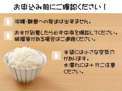 ＜新米＞令和5年産　栃木県産　コシヒカリ　なすそだち　10kg　JAなすの産地直送【大田原市・那須塩原市・那須町共通返礼品】〔P-131〕 ※着日指定不可 ※沖縄県・離島への配送不可