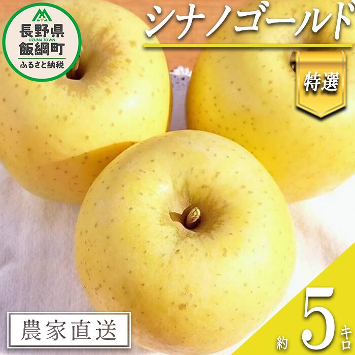 【ふるさと納税】 りんご シナノゴールド 特選 5kg やまじゅうファーム 沖縄県への配送不可 令和7年度収穫分 信州の環境にやさしい農産物 減農薬栽培 長野県 飯綱町 【 信州 果物 フルーツ リンゴ 林檎 長野 18000円 】発送時期：2025年11月上旬〜{***}