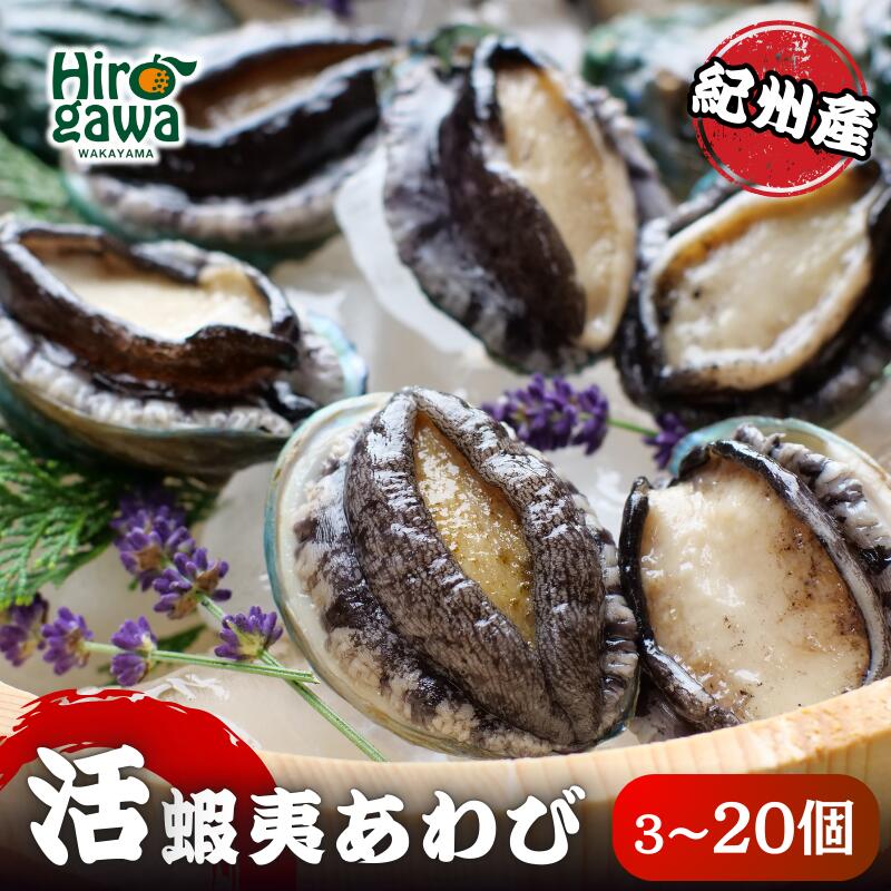 【ふるさと納税】 あわび 鮑 紀州 蝦夷鮑 五つ星旅館にも出荷される 極上鮑 ＜配達日指定OK＞※北海道・沖縄・離島への配送不可 //fish