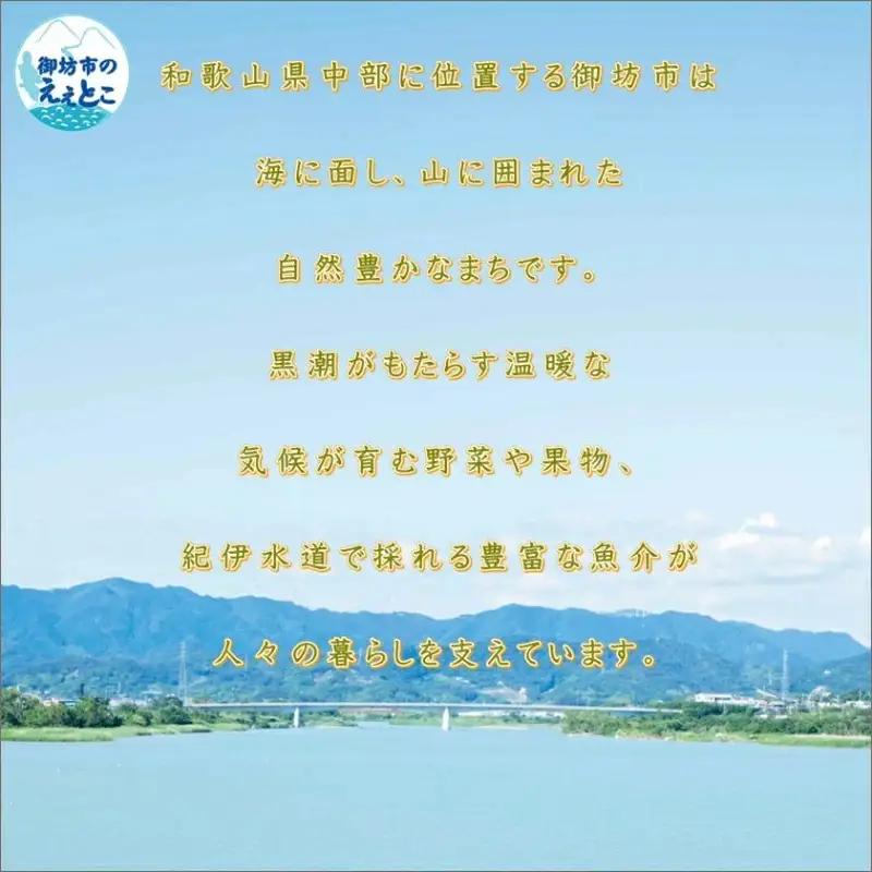 野尻醤油丸大豆醤油200ml  さしみ醤油200ml（各2本）【1204】