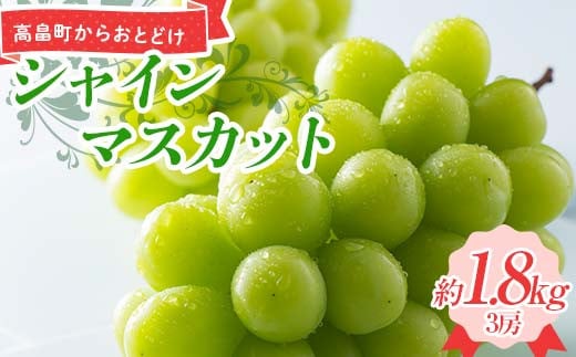 
            ≪2025年先行予約≫ 贈答用 山形県 高畠町産 シャインマスカット 約1.8㎏(3房) 2025年9月上旬から順次発送 ぶどう ブドウ 葡萄 マスカット 大粒 種なし 高級 くだもの 果物 フルーツ 秋果実 産地直送 農家直送 数量限定 F21B-312
          