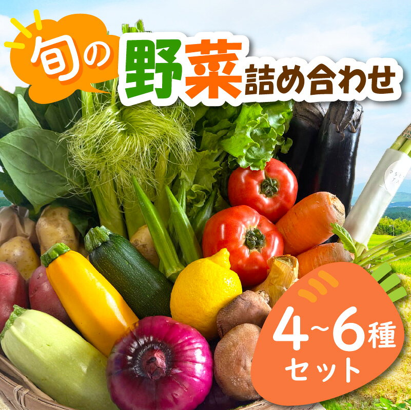 【ふるさと納税】宮若産 旬の野菜詰め合わせ詰め合わせ 4〜6種セット [M1017] 季節 野菜 果物 詰め合わせ 九州 福岡 宮若市 ふるさと納税 おすすめ