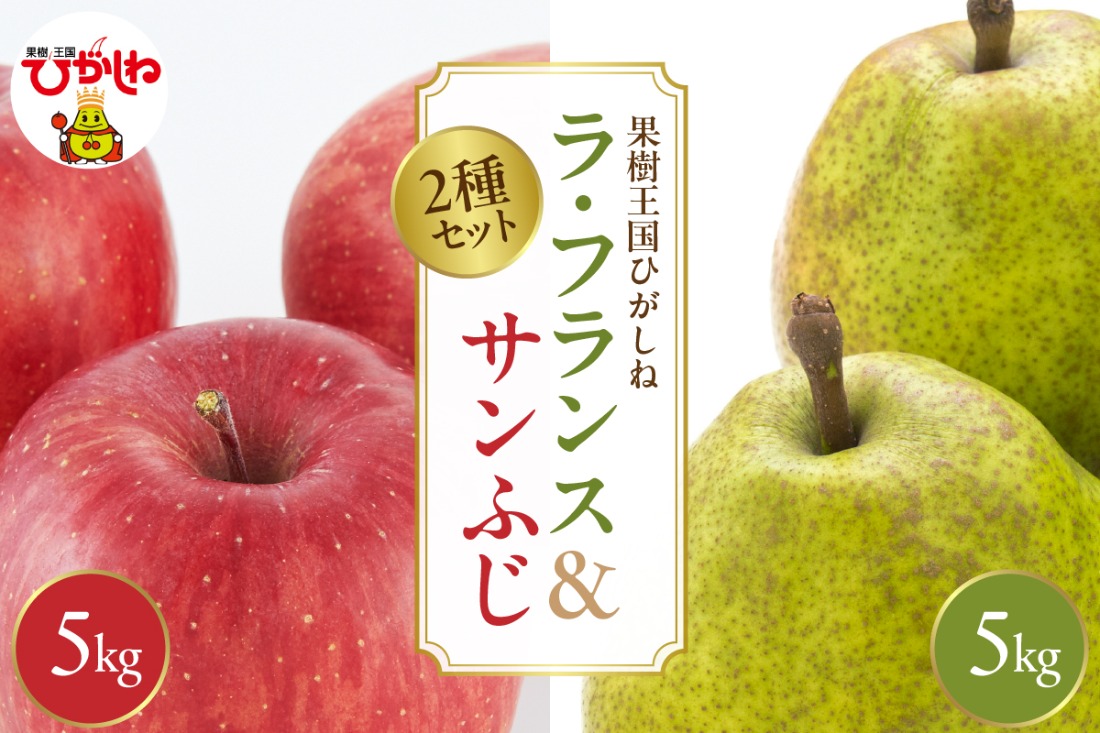 2025年産 ラ・フランス＆サンふじ各5kgセットでお届け 山形県 東根市 hi026-045-2