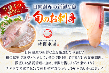 刺身 柵 旬のお刺身 12ケ月 定期便 刺身