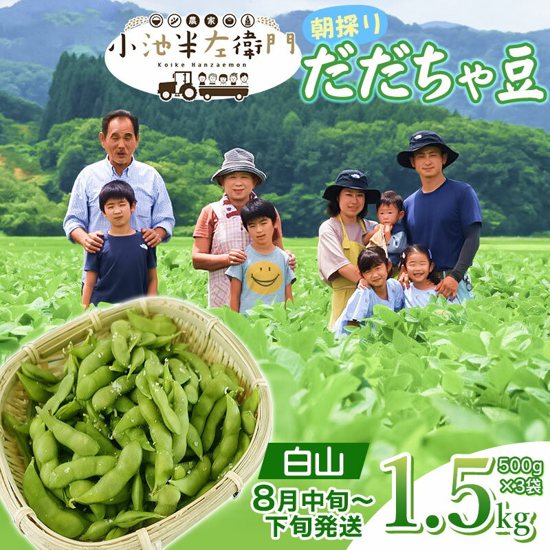 【ふるさと納税】【令和7年産先行予約】朝採りだだちゃ豆 白山 1.5kg(500g×3袋) 枝豆 小池半左衛門　山形県鶴岡市