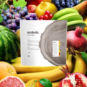 【定期便3回】トロピカルフルーツ風味 EZOBOLIC プロテイン 3kg プロテインLG