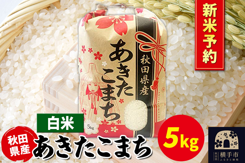 《令和7年産 新米受付》あきたこまち 5kg×1袋【白米】秋田県産 こまちライン