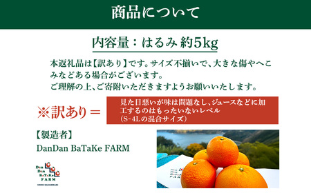 【先行予約】【訳あり】はるみ 約5kg　※2027年1月下旬から順次発送予定 IKTAU014