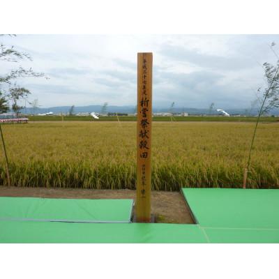 ふるさと納税 能美市 【令和8年産】北本農場のお米石川県産ひゃくまん穀白米10kg×1袋 |  | 01