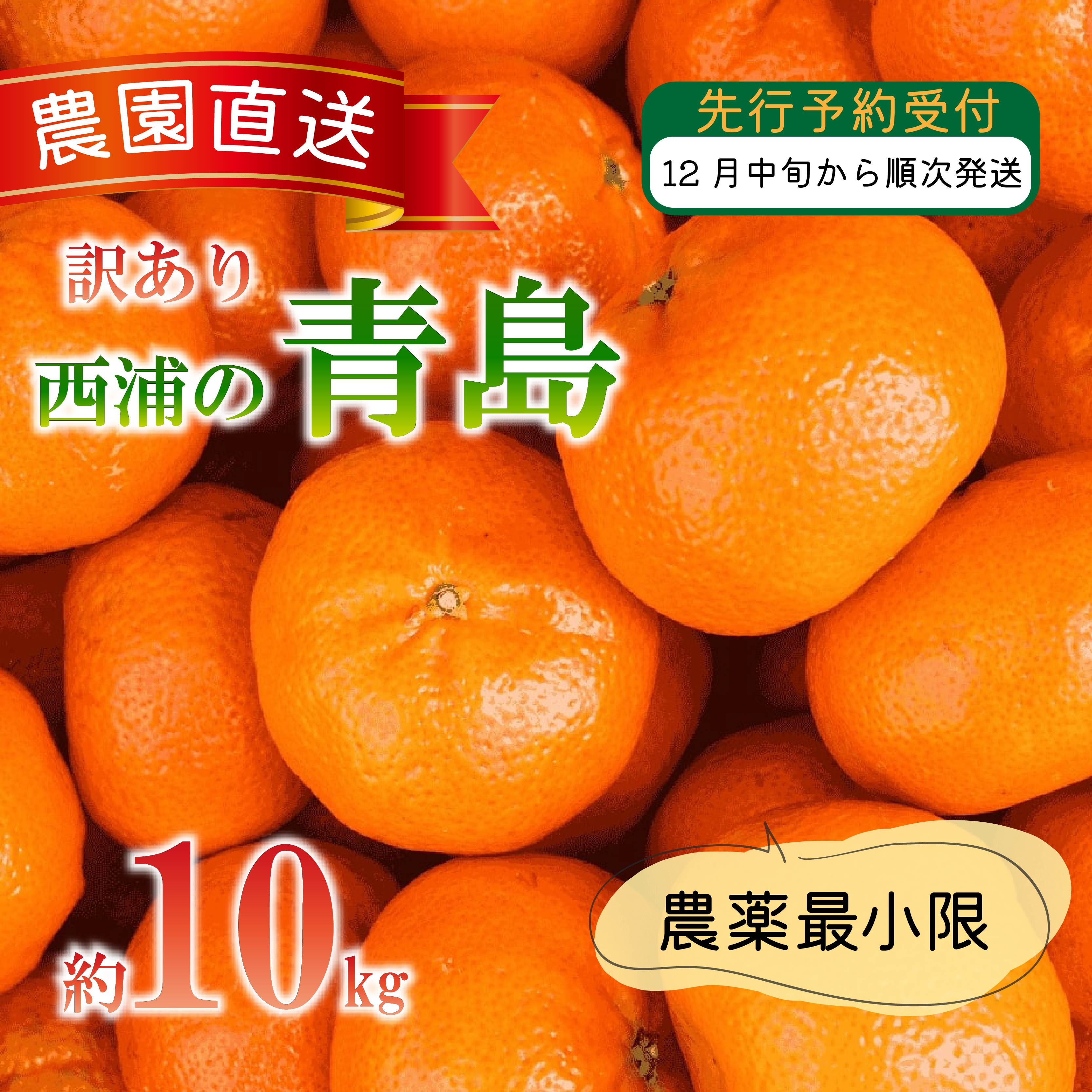 
                  訳あり みかん 青島 10kg 木負観光みかん園 ミカン オレンジ 蜜柑 柑橘 フルーツ 旬 果物 国産 産地直送 季節限定 西浦 沼津市 静岡県
                