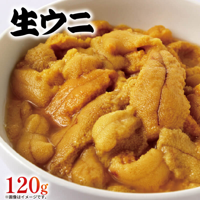 【ふるさと納税】 生うに 120g 冷蔵 無添加 ミョウバン不使用 うに 生ウニ ウニ ムラサキウニ 季節限定 生雲丹 天然 海鮮丼 寿司 ウニ丼 刺身