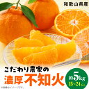 【ふるさと納税】不知火 約5kg 15 ～ 24玉 デコポン こだわり 濃厚 甘い 香り 酸味 果実 柑橘 果物 フルーツ 国産 食品 食べ物 お取り寄せ 農家直送 有田マルシェ 和歌山 湯浅町 有田産 送料無料