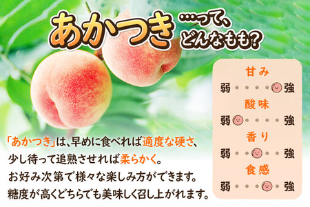 《先行予約！8月上旬より順次発送》夏の太陽をたくさん浴びた桃 あかつき 約3kg（9～13玉前後）