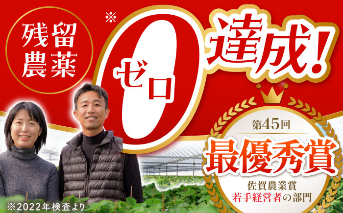 【1〜2月発送】王様のいちご いちごさん 400g【むらおか農園】[HAF013]