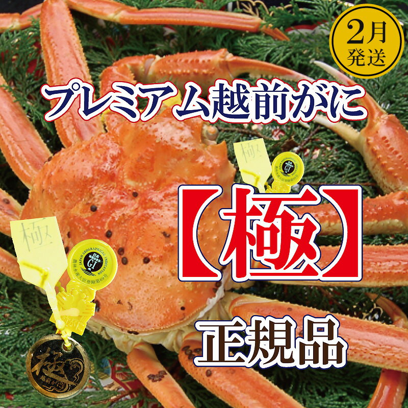 【ふるさと納税】完全なる越前がに「極」 × 1杯 桐箱入り！越前がにの頂点【雄 ズワイガニ ずわいがに 姿 生 ボイル 冷蔵 福井県】【2月発送分】希望日指定可 備考欄に希望日をご記入ください [e37-x013_02]