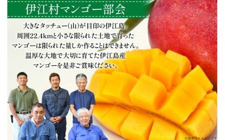 【2027年発送】 マンゴー 完熟 秀品 アーウィン種 約 2kg (4〜6玉)