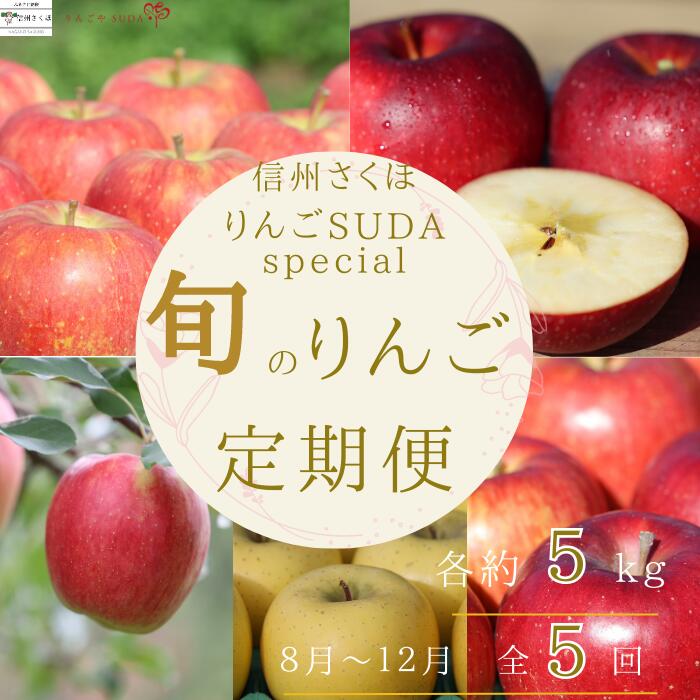 【ふるさと納税】●予約便・2025年発送　定期便全5回　旬のりんご5kg入り贈答箱【限定50箱】（RS-T501）