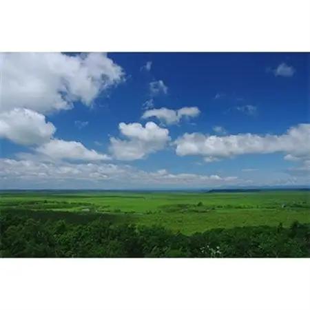 観光タクシー　細岡大観望から釧路川を観る【2時間コース】利用券1枚(定員4名分)_チケット 体験 体験型 アウトドア 観光 旅行 北海道 釧路町 釧路超 特産品 _【1090468】
