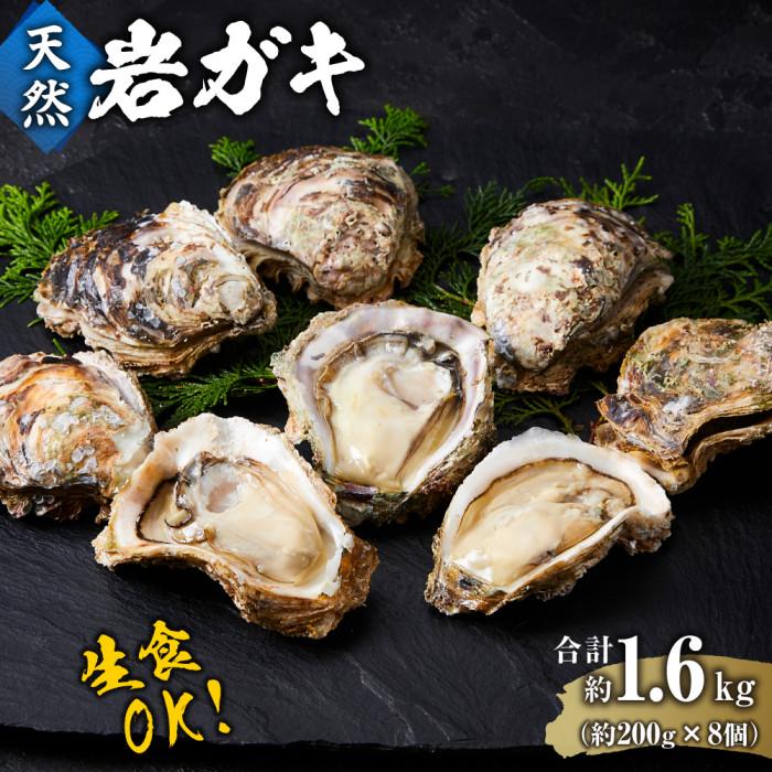 【ふるさと納税】【 先行予約 2025年6月以降発送 】 天然 岩ガキ 約 200 g × 8 個　※北海道、沖縄、一部離島への配送不可 | カキ 魚介類 水産 食品 人気 おすすめ 送料無料